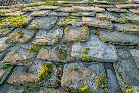 Faut-il démousser une toiture neuve ?