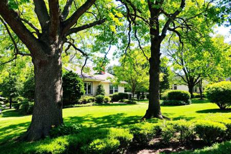 Quelle fréquence pour nettoyer ses gouttières ?