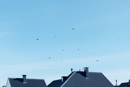 Quelle pente pour une toiture en tuiles ?