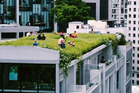Toiture végétalisée : est-ce compatible avec une charpente classique ?